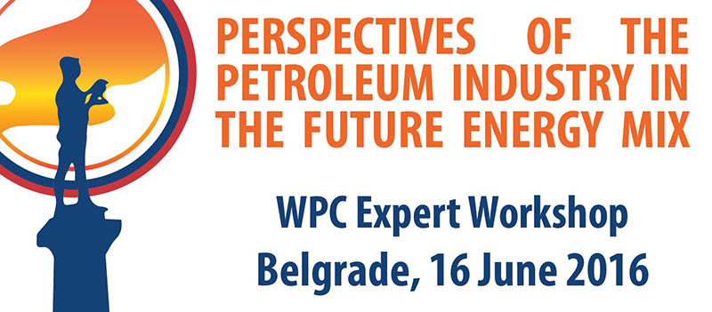 LOGO NNKS WPC Expert Workshop Belgrade 16 June 2016