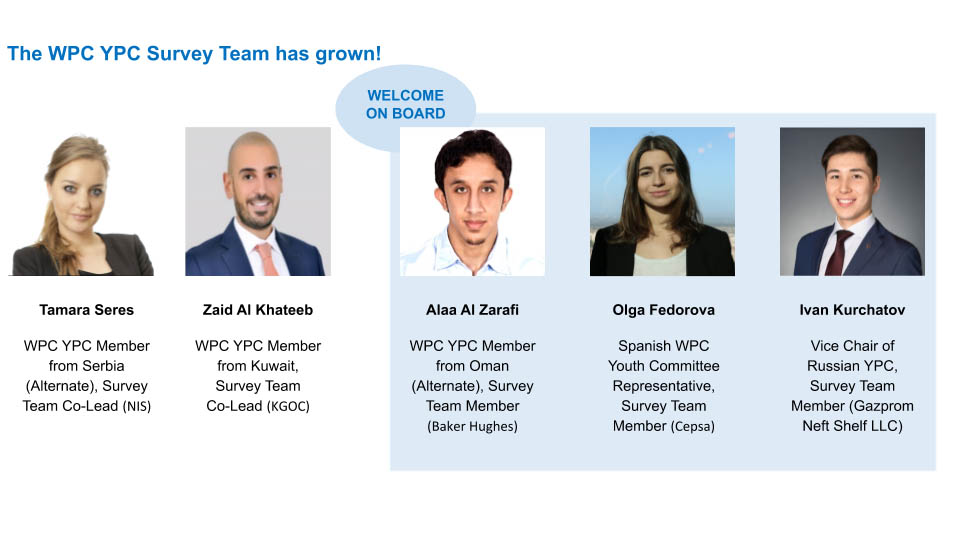 surveyteam